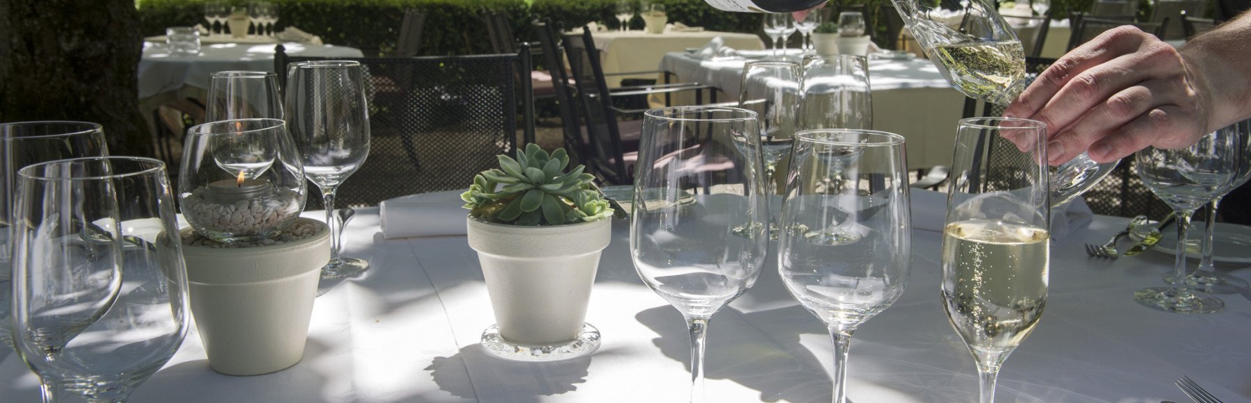 Table in the garden with glasses and sparkling wine