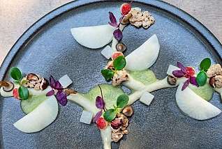 Kohlrabi_Spielerei Kohlrabi_Spielerei